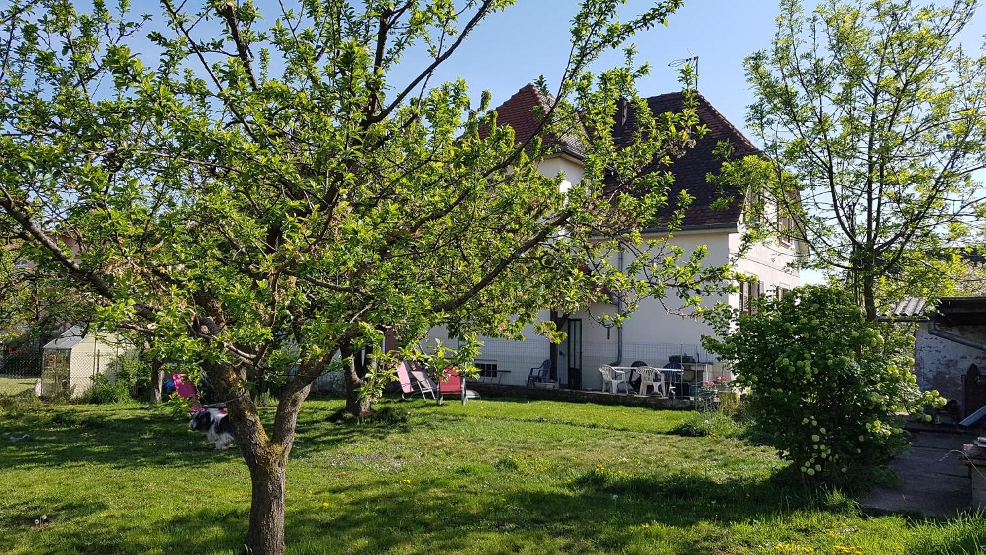 Maison Les 3 Roses Wolfisheim エクステリア 写真