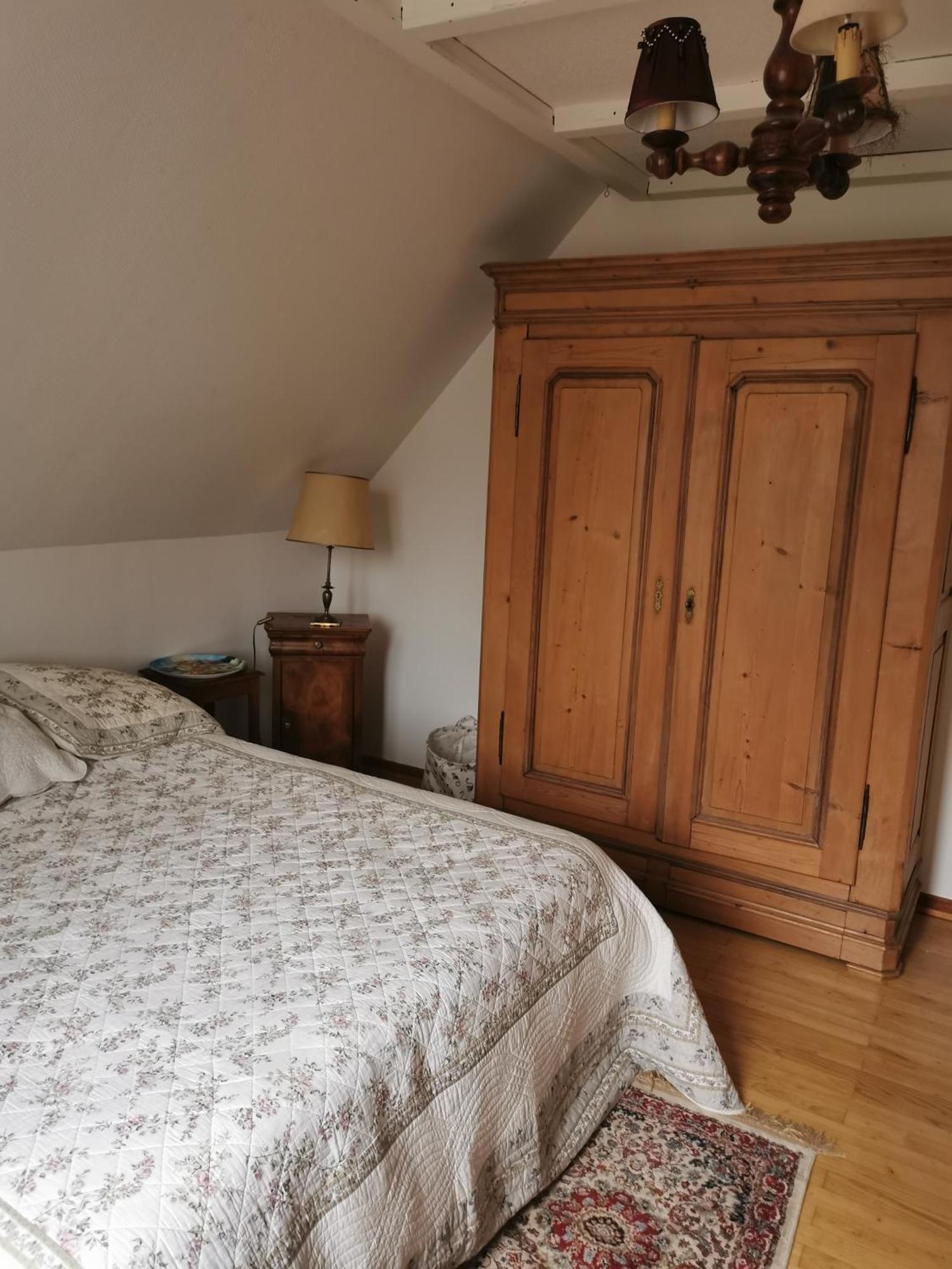 Maison Les 3 Roses Wolfisheim エクステリア 写真