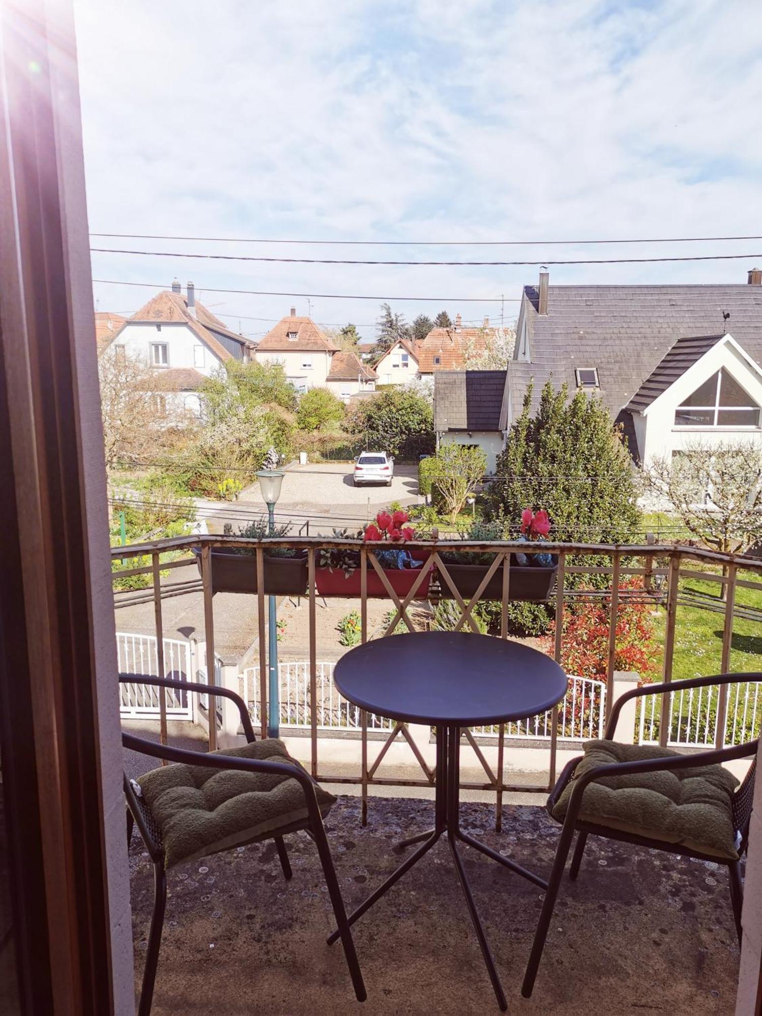 Maison Les 3 Roses Wolfisheim エクステリア 写真